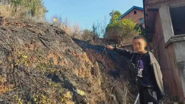 熊孩子春节惹祸 放炮点山-柚子博客