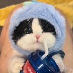 yudejiyi的头像-柚子博客