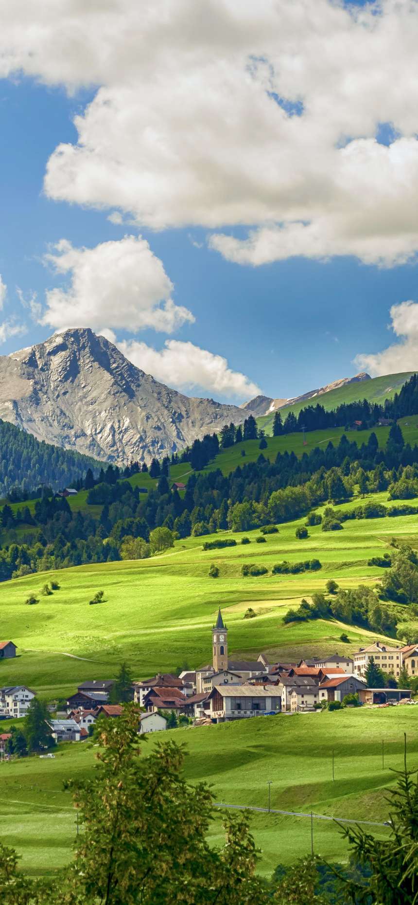 柚子博客-免费PHP源码模板插件